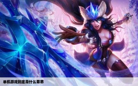 单机游戏到底是什么意思