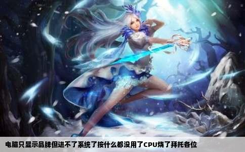 电脑只显示品牌但进不了系统了按什么都没用了CPU烧了拜托各位