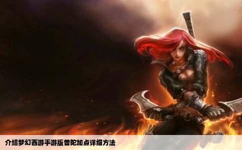 介绍梦幻西游手游版普陀加点详细方法