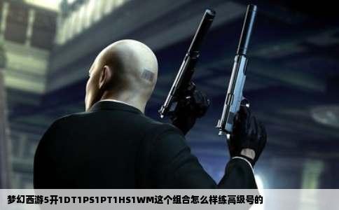 梦幻西游5开1DT1PS1PT1HS1WM这个组合怎么样练高级号的
