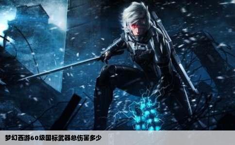 梦幻西游60级国标武器总伤害多少