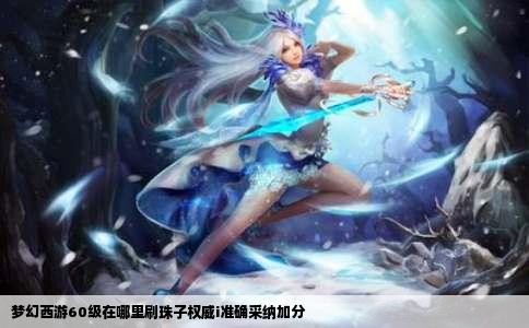 梦幻西游60级在哪里刷珠子权威i准确采纳加分