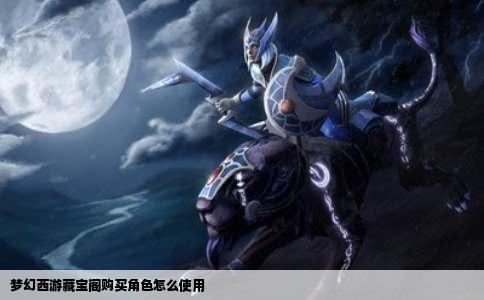 梦幻西游藏宝阁购买角色怎么使用