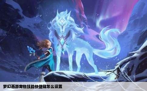 梦幻西游宠物技能快捷键怎么设置