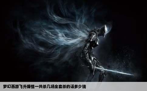 梦幻西游飞升据情一共杀几场全套杀的话多少钱