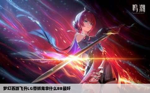 梦幻西游飞升LG带抓鬼拿什么BB最好