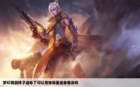 梦幻西游孩子成年了可以用奇异果或者兽决吗