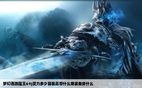 梦幻西游魔王69J灵力多少算极品带什么宠装备穿什么