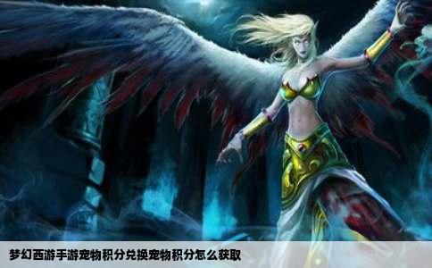 梦幻西游手游宠物积分兑换宠物积分怎么获取