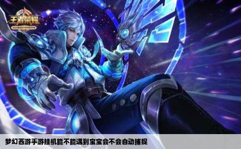 梦幻西游手游挂机能不能遇到宝宝会不会自动捕捉