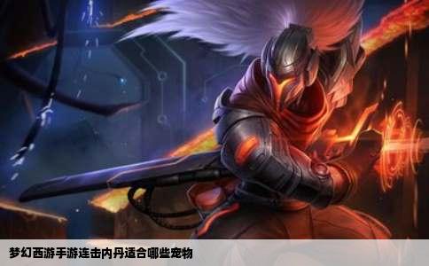 梦幻西游手游连击内丹适合哪些宠物