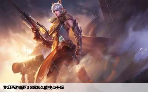 梦幻西游新区30级怎么能快点升级
