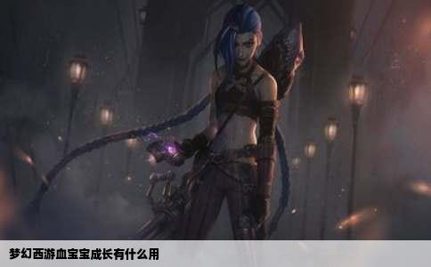 梦幻西游血宝宝成长有什么用