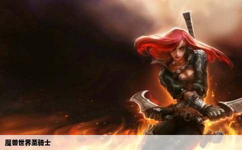 魔兽世界圣骑士