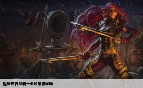 魔兽世界圣骑士必须穿板甲吗