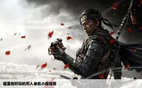 哪里有好玩的双人单机小游戏啊