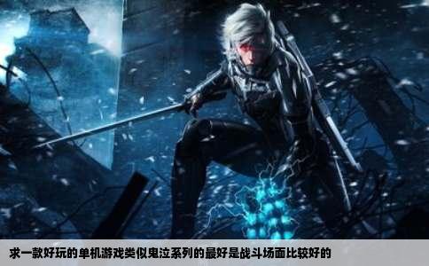 求一款好玩的单机游戏类似鬼泣系列的最好是战斗场面比较好的