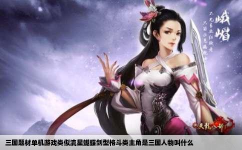 三国题材单机游戏类似流星蝴蝶剑型格斗类主角是三国人物叫什么