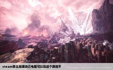 steam怎么知道自己电脑可以玩这个游戏不