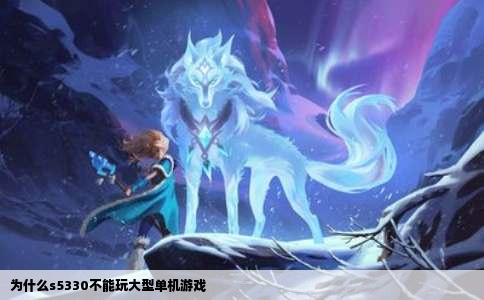 为什么s5330不能玩大型单机游戏