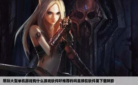 想玩大型单机游戏有什么游戏软件好推荐的吗直接在软件里下载就能