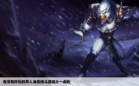 有没有好玩的双人单机格斗游戏大一点的