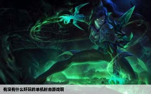 有没有什么好玩的单机射击游戏啊