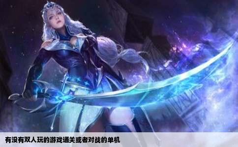 有没有双人玩的游戏通关或者对战的单机