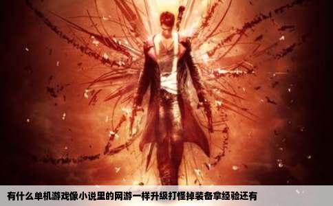 有什么单机游戏像小说里的网游一样升级打怪掉装备拿经验还有