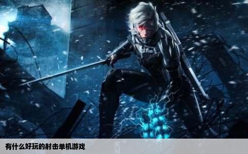 有什么好玩的射击单机游戏
