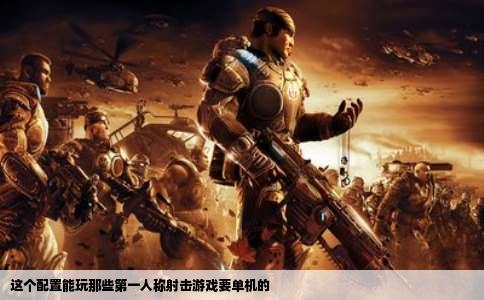 这个配置能玩那些第一人称射击游戏要单机的